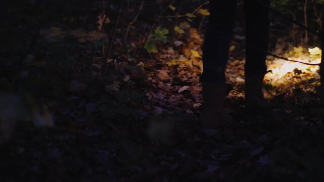Low angle view of person walking through dark woods at night with flashlight illuminating fallen autumn leaves.