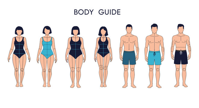Illustration showing different male and female body types in swimwear as a guide for physical anatomy and shapes.