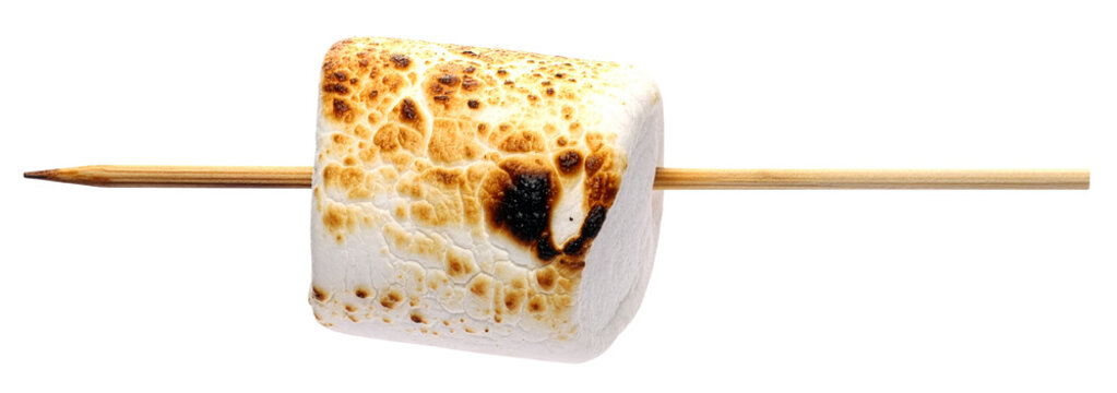 closeup of burnt marshmallow on wooden stick isolated on white background