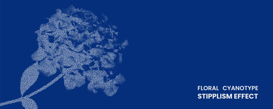 Floral cyanotype stipplism effect, hydrangea flower illustration in dotwork style, white stippled botanical art on deep blue background, creative graphic design
