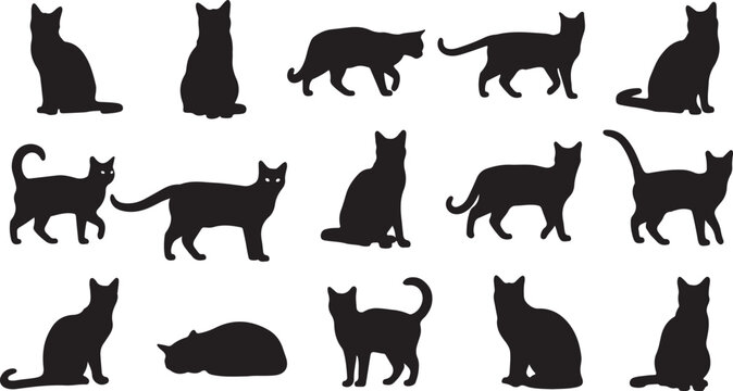 Black cat silhouettes, feline icons, kitty graphics, animal shapes isolated PNG with Transparent Background