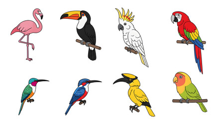 Obraz premium A vibrant collection of exotic and tropical birds, featuring a flamingo, toucan, cockatoo, macaw, kingfisher, and parrot species