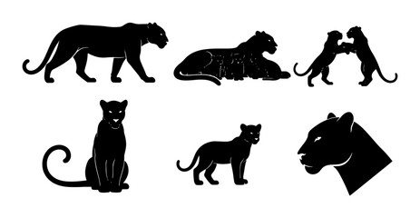 Black Panther Silhouettes, Wild Cat Vector Icons, Majestic Feline Poses, Big Cat Graphics, Elegant Animal Illustrations for Wildlife Design © Tahmina