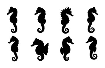 Set of 8 Silhouette Seahorse Vector Icons, Nautical Marine Life Graphics, Ocean Underwater Creatures Collection, Simple Black and White Aquatic Animal Silhouettes © Priyanka