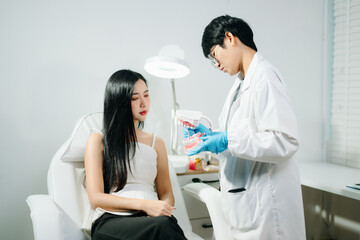 Fototapeta premium Asian Woman Dental Checkup with Dentist Explaining Teeth Model in Modern Clinic