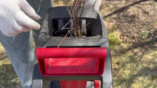 Video of the process of shredding tree and shrub branches in the garden using an electric shredder. Spring garden cleanup. Close-up, top view