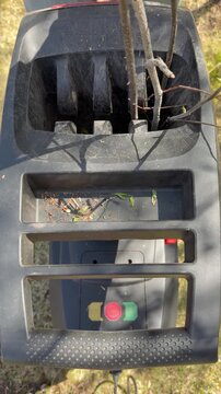 Vertical video of the process of shredding tree and shrub branches in the garden using an electric shredder. Seasonal spring garden work. Close-up, top view