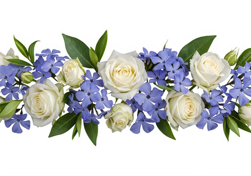 Elegant floral border with white roses and blue periwinkle flowers, isolated on transparent background for design.