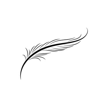 Minimalist Hand-Drawn Feather Illustration, Black and White Ink Sketch Vector Art