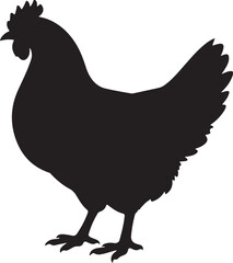 a murgi vector © Shahidul