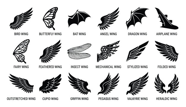 Diverse collection of wing types including mythical, animal, and mechanical shapes for design projects