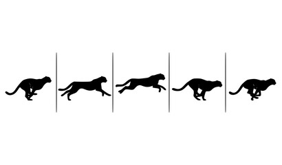 Educational Cheetah Movement Study Silhouette Grid Vector Showing Running Cycle and Speed Phases © HoriProshad
