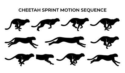 Dynamic Cheetah Sprint Silhouette Frames Vector Set Showing High Speed Motion Phases for Wildlife Illustration © HoriProshad