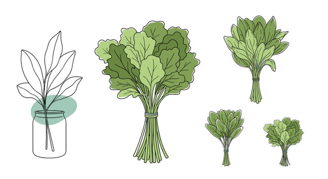 Selection of various fresh green leafy vegetable bundles like spinach and kale shown in different artistic styles and jars.