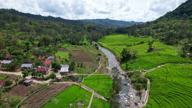 Aerial drone footage of Neopesu river, North Central Timor regency, Indonesia, on the wayto Eban and So'e, with a small metalic bridge, and lush terrace green rice fields, in a valley, houses around