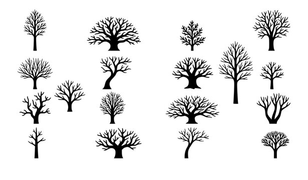 Elegant winter tree silhouettes with thin branches minimal landscape vector icons for premium design use