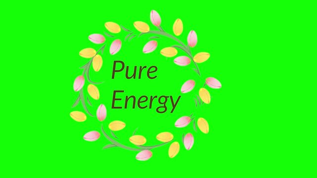 Vibrant energy badge with floral design and fireworks on green background