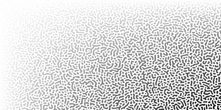 Turing Reaction Diffusion and Organic Movement
 art