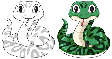 Fototapeta premium Vector illustration of a friendly coiled green snake alongside a black and white outline