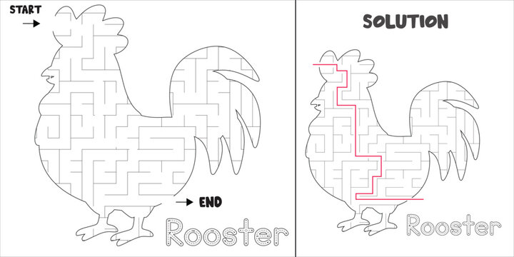 Rooster Shaped Labyrinth Puzzle brain game abstract farm animal maze with Solution for kids and adults. fun logic Education hen vector worksheet  illustration isolated on white background