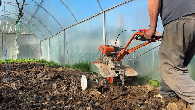 Motorized cultivator working soil inside greenhouse forming rows for planting and preparing land for vegetable crops