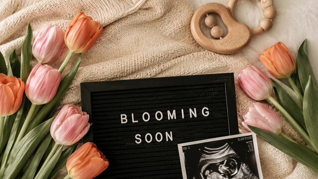 Spring Pregnancy Announcement Flat Lay with Tulips and Ultrasound