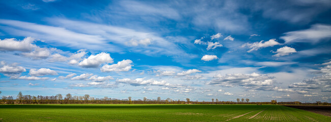 Fototapeta premium eine grüne Wiese mit Bäumen im Hintergrund und blauem Himmel mit weißen Wolken