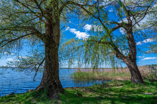 am Ufer vom Blankensee