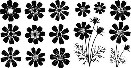 Fototapeta premium Black and white floral silhouette set featuring blooming wildflowers, botanical petals, daisy blossoms, and decorative nature vector illustrations