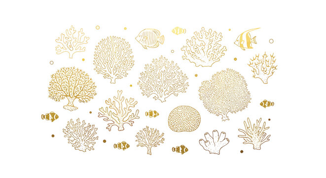 Golden Coral Reef Icons, Fish Symbols, Ocean Elements, Vector Graphics