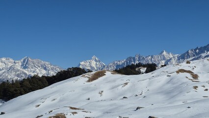 Fototapeta premium Scenic view of Nanda Devi peak from Gorson Bugyal with snow covered ground and pine forest in Uttarakhand, India.