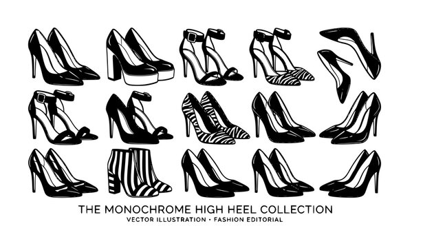 Elegant designer high heel shoe illustrations with stiletto pumps and fashionable animal print footwear