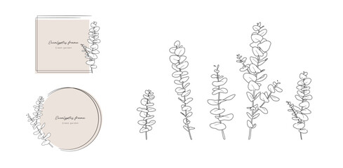 Simple and stylish hand drawn eucalyptus line art and frame vector illustration set © Kikumio