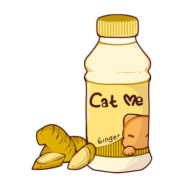 Ginger Flavored Drink in a Bottle