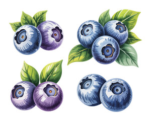 Watercolor Blueberry Set Illustration, Berry Fruit Clipart, Isolated on White background © Tanvir Rana