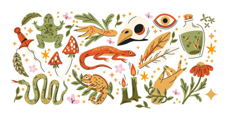 Witchcraft magic stickers with forest herbs and mystical animals in retro cartoon style. Potion bottle, candle, snake, frog, herbs, spell elements, occult symbols, magical ritual collection © Limpreom