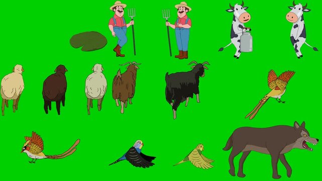 Farmer, Cow, Goat, Pheasant, Pigeon, Wolf, Pond, Bird, Wild 2d animated cartoon character on green screen chroma key background. High quality illustration loop cycle vector animation compositing.