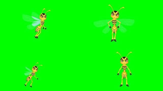 Cute flying honey bee insects with little wings and happy smiling animations 2d animated cartoon on green screen chroma key background. high quality loop cycle vector illustration animation