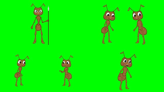 Brown ant bugs walking, carrying tiny items, and talking together animations 2d animated cartoon on green screen chroma key background. high quality loop cycle vector illustration animation