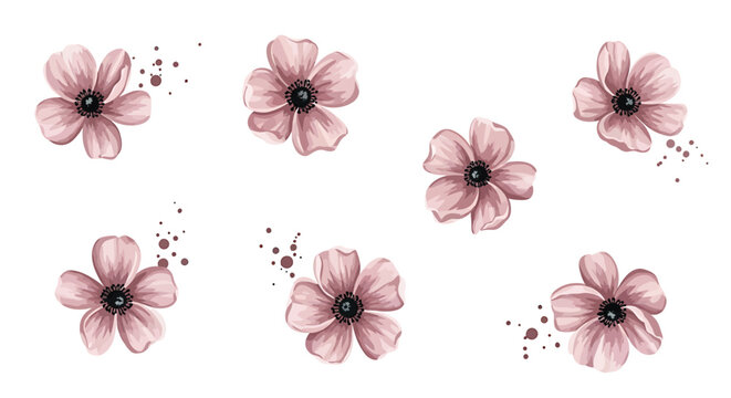 Pink flowers, floral illustrations, watercolor blooms, decorative elements