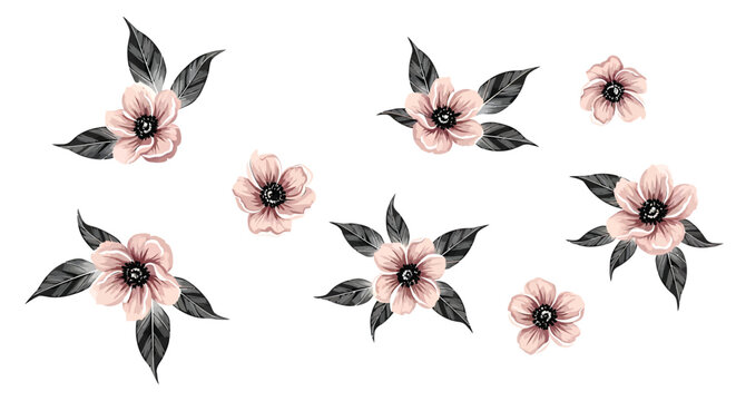 Pink flowers, floral illustrations, blossom set, vector graphics