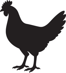  a murgi vector © Shahidul