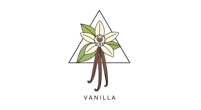 Vanilla flower illustration with triangle graphic and text for design