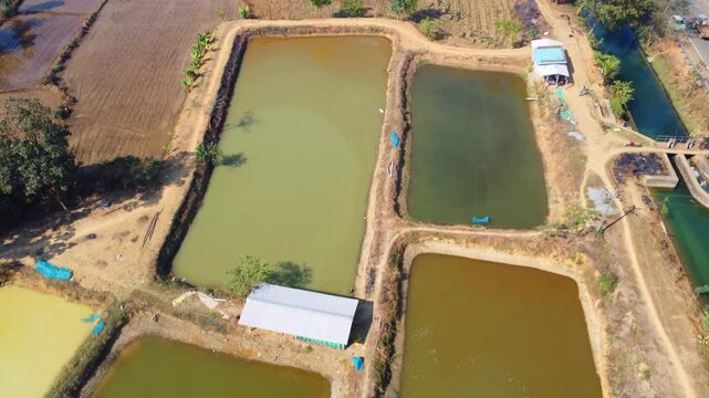 Aerial drone view of commercial fish seed hatchery fish farm industry 4k HD fooatge