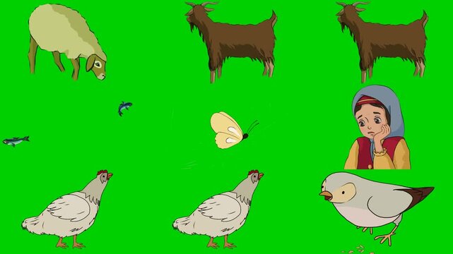 Sheep, Goat, Butterfly, Girl, Hen, Pigeon, Bird, Livestock, Farm 2d animated cartoon character on green screen chroma key background. High quality illustration loop cycle vector animation