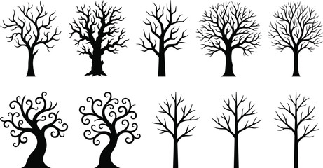 Obraz premium Collection of Bare Tree Silhouettes with Decorative Branch Designs and Seasonal Nature Vector Illustrations
