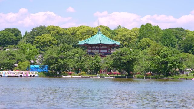 上野恩賜公園の不忍池