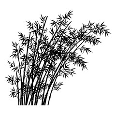 Fototapeta premium vector illustration of bamboo