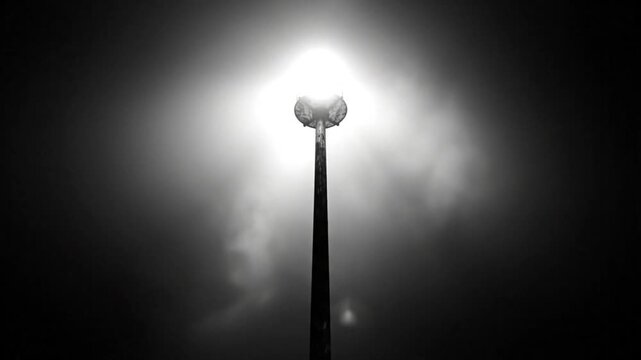 Lone lamppost illuminated against a hazy dark sky showcasing atmospheric night atmosphere in black and white