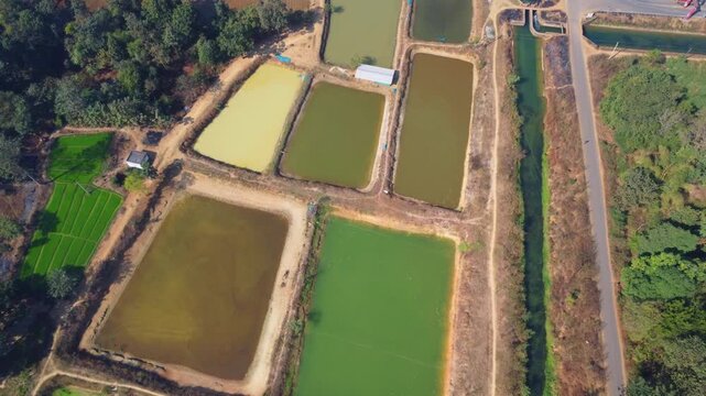 Aerial drone view of commercial fish seed hatchery fish farm industry 4k HD fooatge